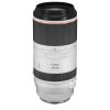 Canon RF 100-500mm f/4.5-7.1 L IS USM